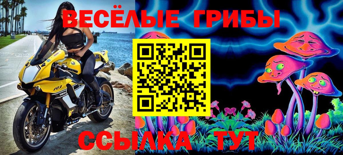 Галлюциногенные грибы Psilocybe  Псилоцибиновые грибы MAGIC MUSHROOMS  Новороссийск  Вход с VPN 